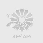 حمید احمدی
